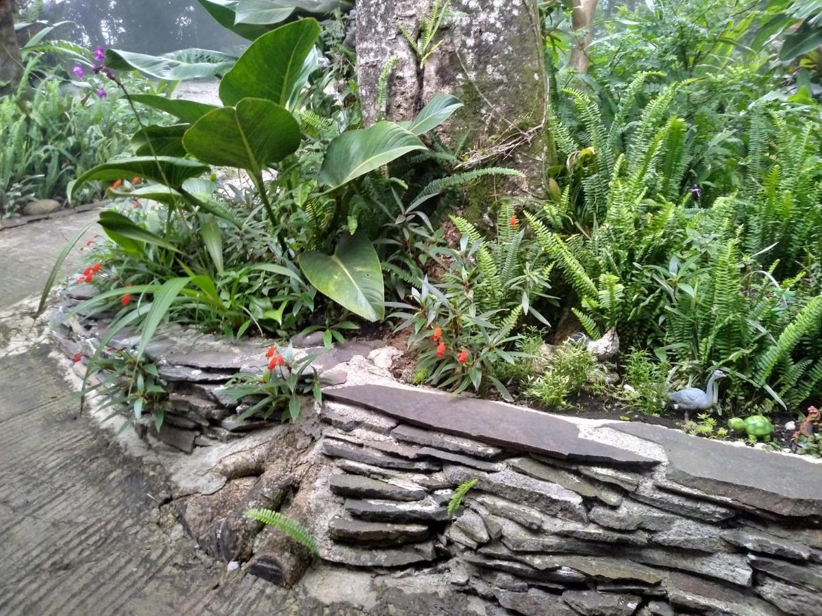 Cabanas La Montana Mountain Lodge Monteverde Exterior photo