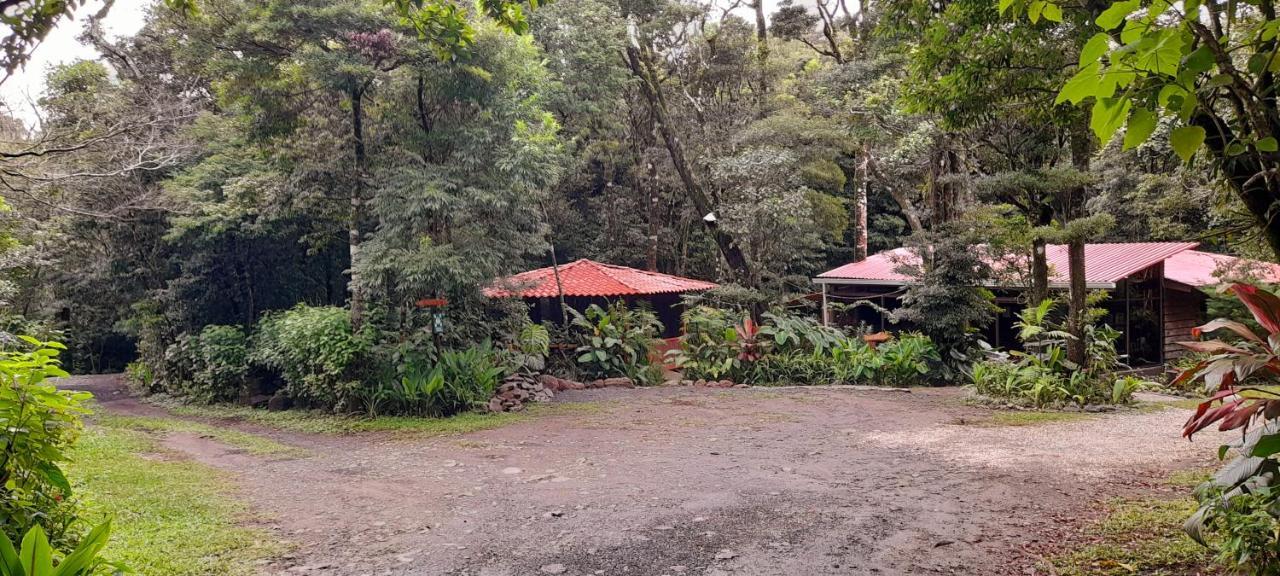 Cabanas La Montana Mountain Lodge Monteverde Exterior photo