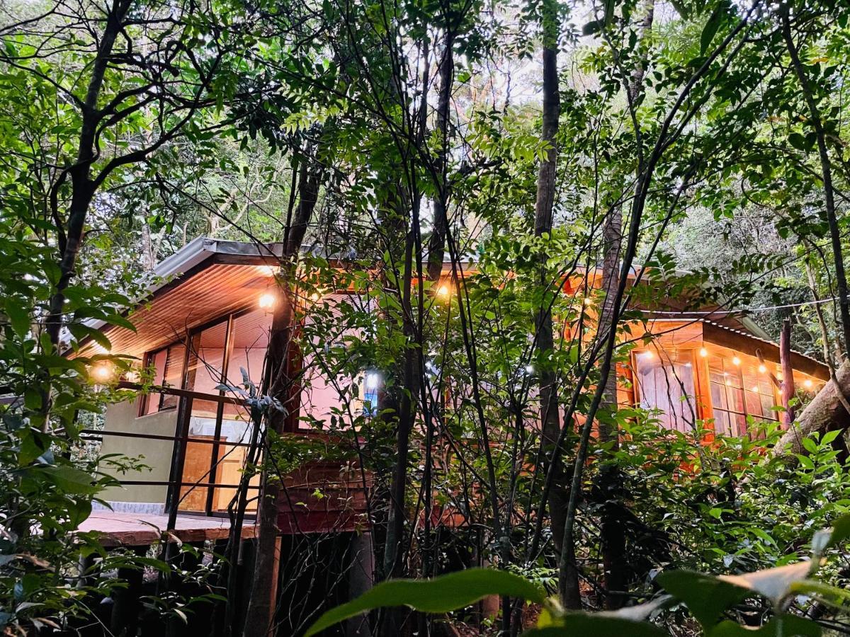 Cabanas La Montana Mountain Lodge Monteverde Exterior photo